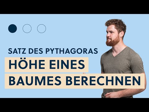 Pythagorean Theorem, Finding the Leg Length | Application Example: Calculating the Height of a Tree