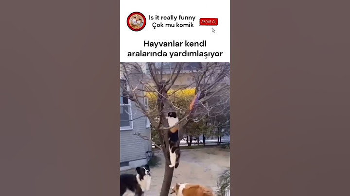Oha gerçekten böyle bişi var mıı 🫣#işbirliğideğildir #reklamyoktur
