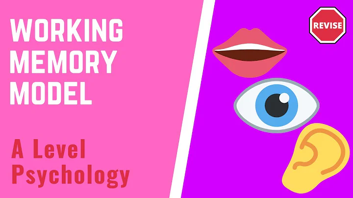 A Level Psychology - The Working Memory Model