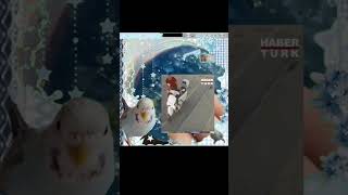 Maviş Rant 3