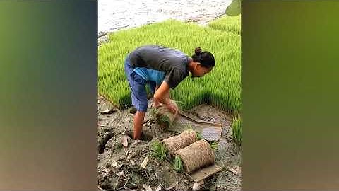 Try Not To Say WOW Challenge! Most Satisfying Videos Of Workers Doing Their Job Perfectly #021