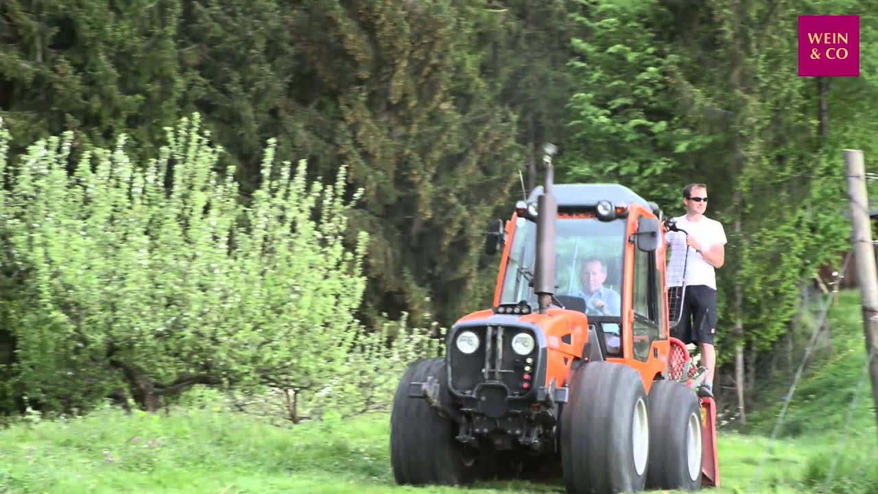 Winzer des Monats Juni 2015 - Erwin Sabathi [Trailer]