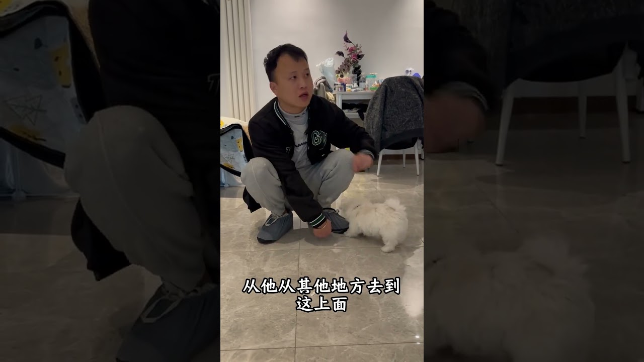 Can you hit a dog that defecates and urinates randomly Watch a video from the owner to tel