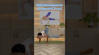 Makanagasana Inspired By - Dragon Fly Advance Yoga Pose