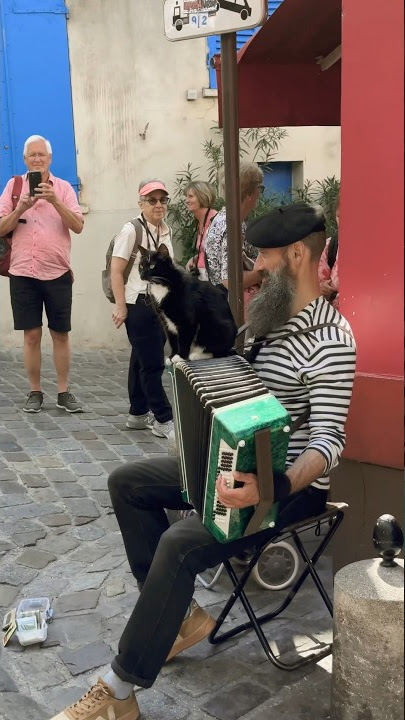 Melodies of Montmartre: Accordion Maestro and His Feline Muse 🎵🐱 Parisian Street Musician