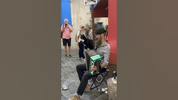 Melodies of Montmartre: Accordion Maestro and His Feline Muse 🎵🐱 Parisian Street Musician
