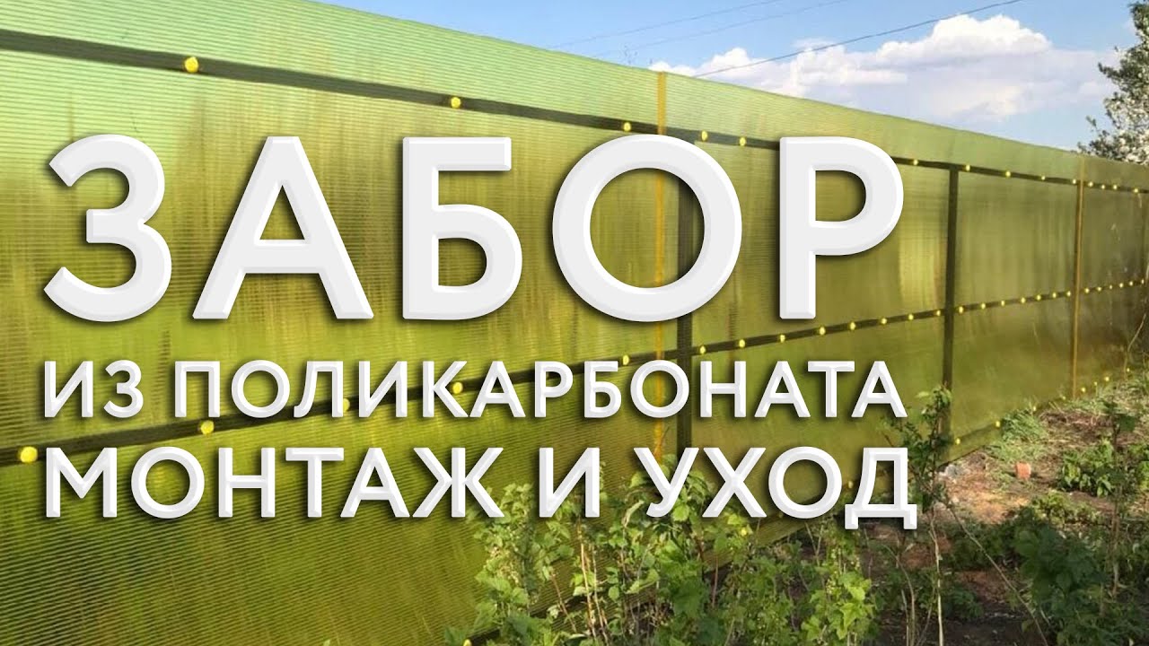 Забор из поликарбоната монтаж и уход - YouTube