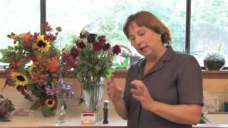 Where to Buy a Black Rose