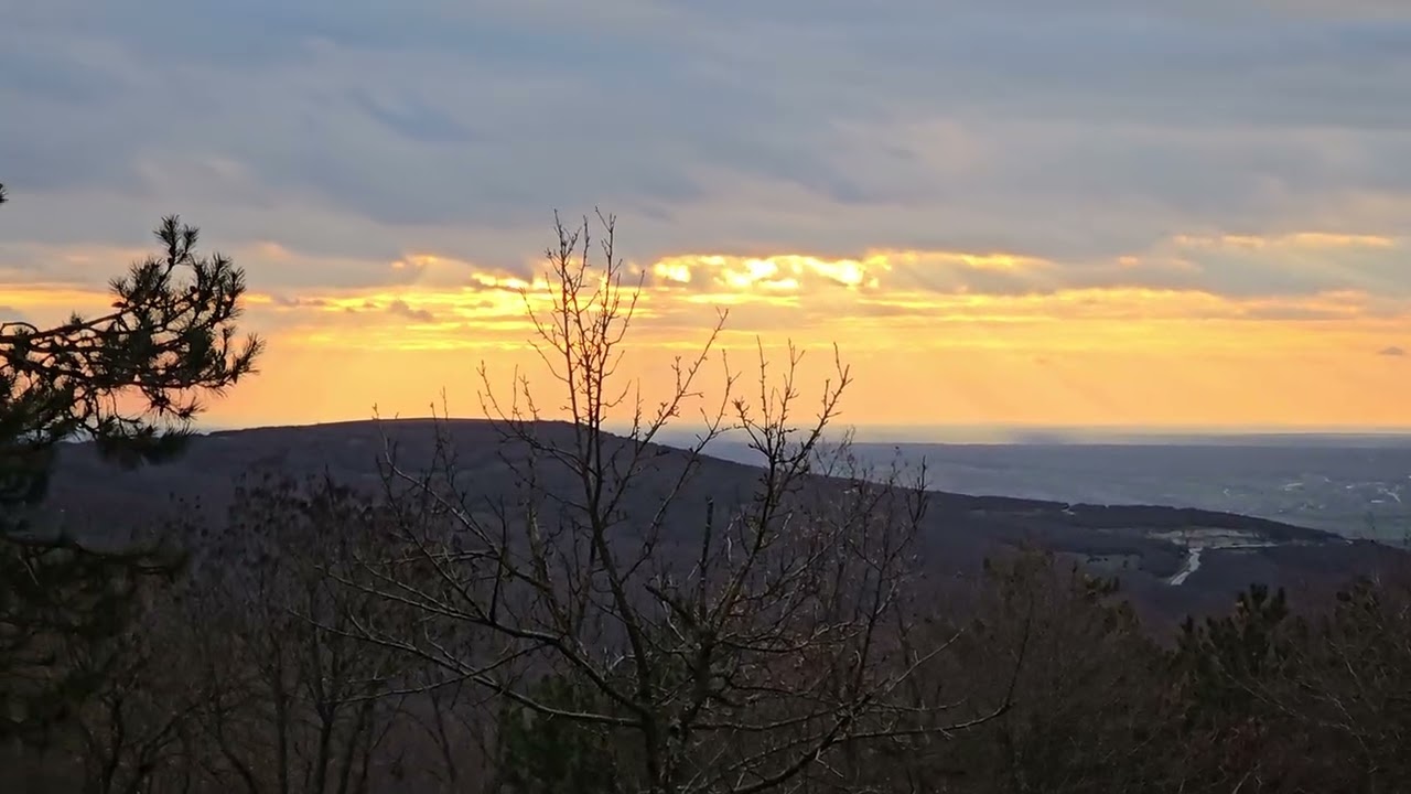 Orman içi yollarda yürüyüş