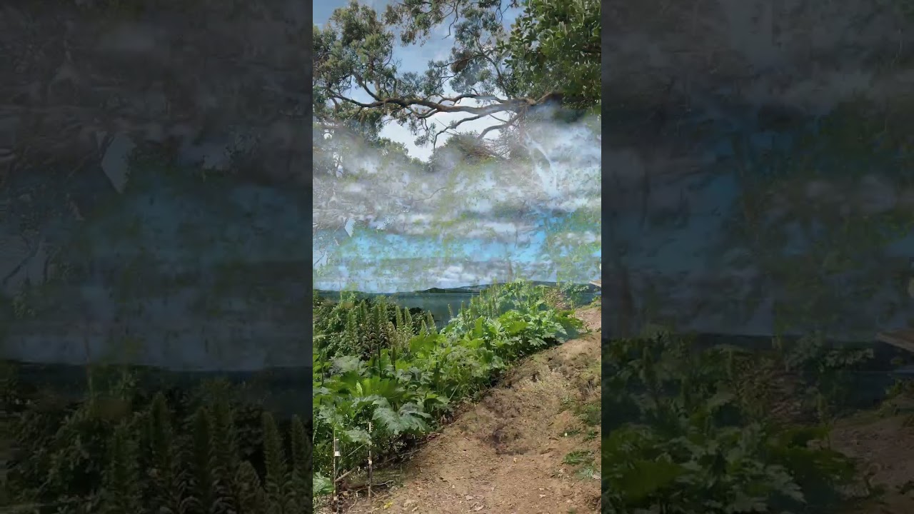 Outdoor activities you must do on Waiheke Island, New Zealand