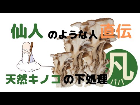 【秋の味覚キノコ】もらいものの天然舞茸を仙人？？直伝の下処理の仕方を紹介!!　虫嫌いな奥さまの株を上げよー😃おすすめ