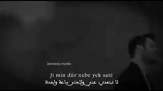اغنية كردية (Dile'm daxa sor li ser e) قلبي لديه وشم احمر