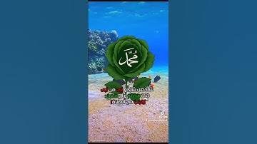 #المصحف #آيات بينات من الذكر الحكيم #اللهم_صل_وسلم_على_نبينا_محمد #أذكروا_الله_يذكركم