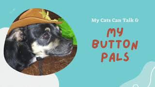 I am hungry! I need to eat! Rio the talking dog clearly chooses his buttons carefully. by My Button Pals 57 views 11 months ago 29 seconds