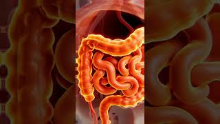 "Watch Raw Ginger Reset Your Entire Digestive System In Minutes"