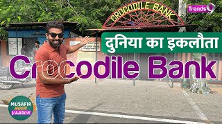 दुनिया का इकलौता Crocodile Bank | Madras Crocodile Bank Reptile Zoo in Chennai | Musafir Hoon Yaaron