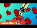 SpongeBob De SCHATTIGSTE Momenten Van Meneer Krabs En Mevrouw Puff Nickelodeon Nederlands SpongeBob De SCHATTIGSTE Momenten Van Meneer Krabs En Mevrouw Puff Nickelodeon Nederlands