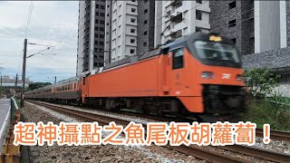 終於不是900了XD🤣 141次新胡蘿蔔pp自強號（e500）往潮州埔心-楊梅間（新農街）通過