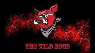 Details The Wild Hogs, 30 juni 2018 (Soundcheck) Update