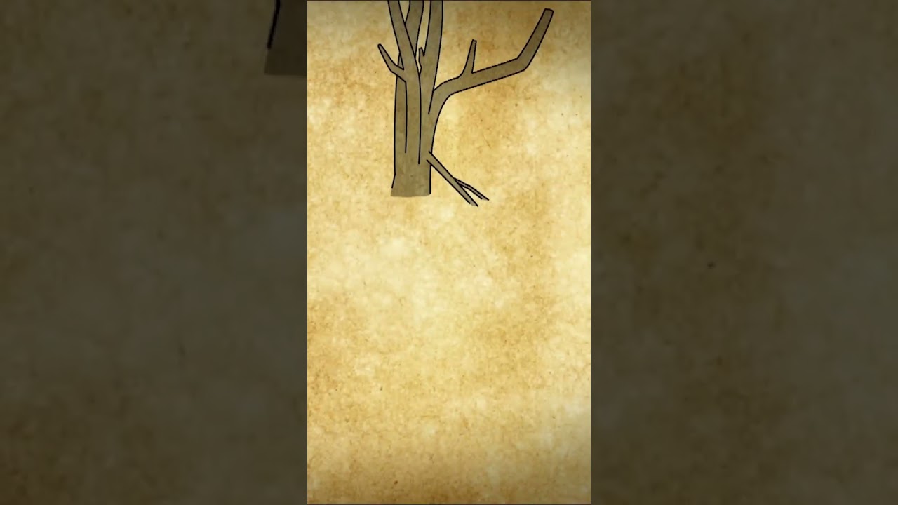 Film backdrop image for Building African shelters for survival (2023)