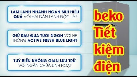 Đánh giá tủ lạnh beko 250l năm 2024