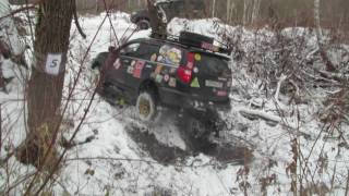 Алко Белка 2016 Igaist