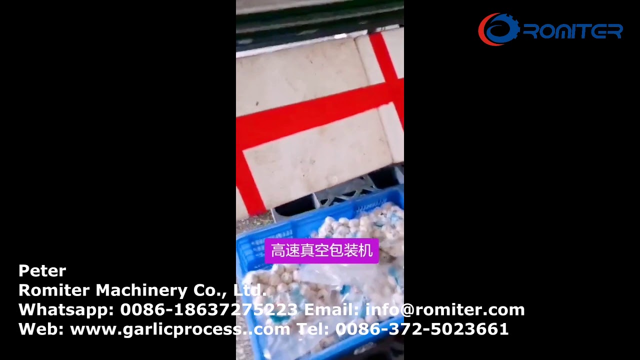 Automatic High Speed Garlic Bulb Vacuum Packing Machine