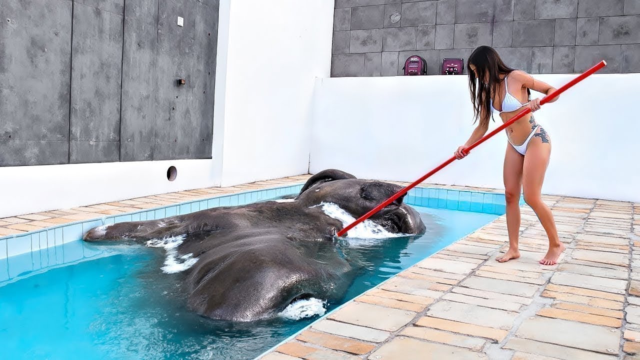 🔥 Я Бы И Сам Не Поверил, Но Это Видео Удалось Снять На Камеру Только  / Лучшее 2025