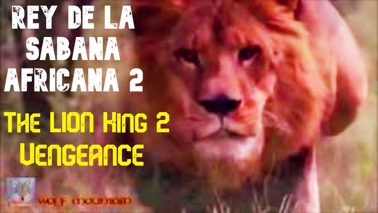 EL REY DE LA SABANA AFRICANA #2 - CÓMO ES LA VIDA DE LOS LEONES 🎥 HOW