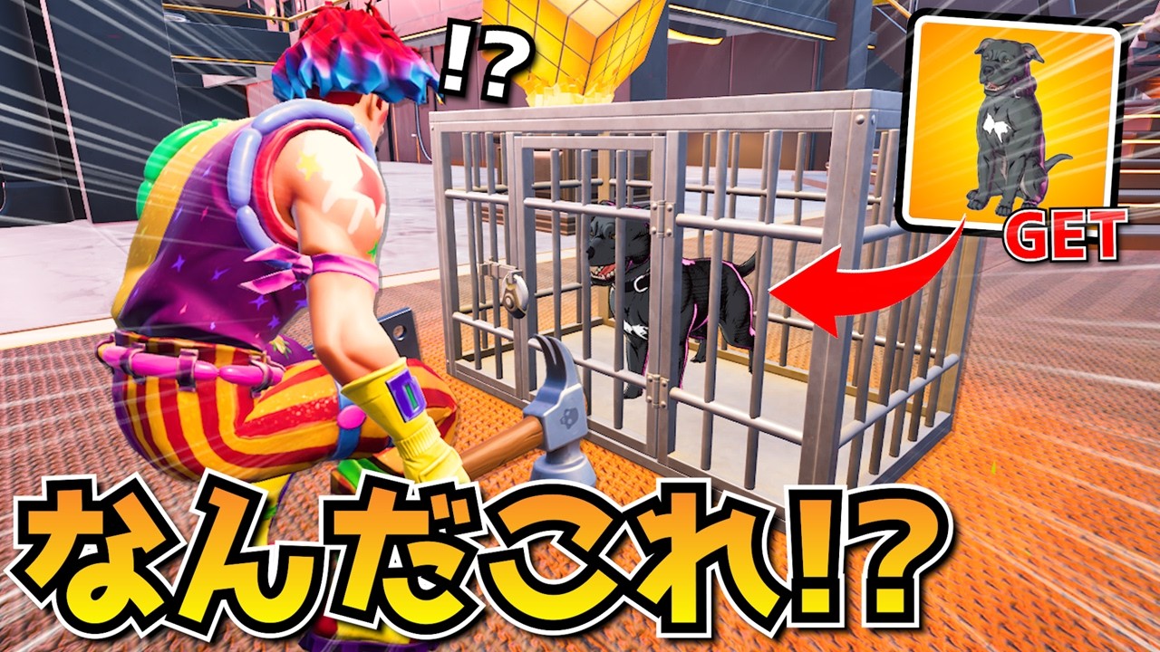 ワンちゃんを助けたら「ペットを無料GET」できて最高すぎたｗｗｗｗ【フォートナイト】