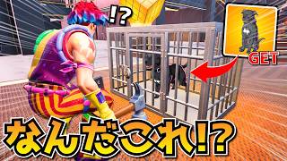 ワンちゃんを助けたら「ペットを無料GET」できて最高すぎたｗｗｗｗ【フォートナイト】