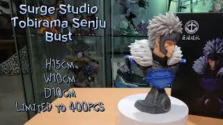 Surge Studio Tobirama Senju Bust