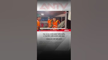 Tàu cá bị chìm, 3 thuyền viên thoát nạn trong gang tấc #antv #shorts #thoisu #haiphong