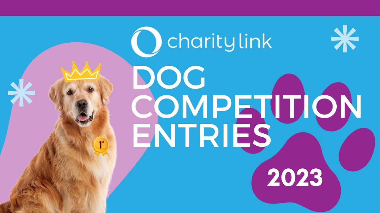 Charity Link Dog Competition 2023 YouTube