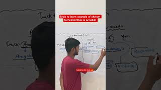 Trick to learn example of phylum Aschelminthhes & Annelida #shorts #shortsfeed #shortvideo #neet