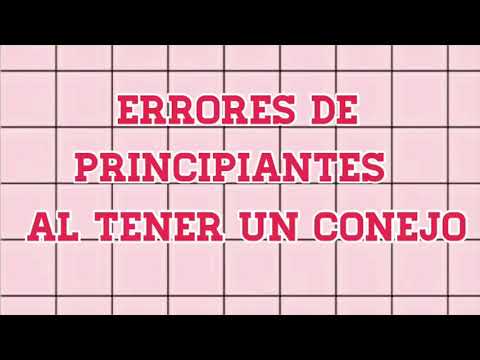 ERRORES DE PRIMERIZO(al tener un conejo)