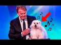 6 Best Singing Dogs EVER On Got Talent! But Which Dog WINS?