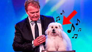 6 Best Singing Dogs EVER On Got Talent! But Which Dog WINS?