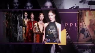 Create Amazing Slideshow After Effects Templates