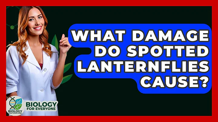 What Damage Do Spotted Lanternflies Cause? - Biology For Everyone