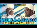 Muxaadaro qalbiga taabaneeyso 2022  sheekh xuseen cali jabuuti