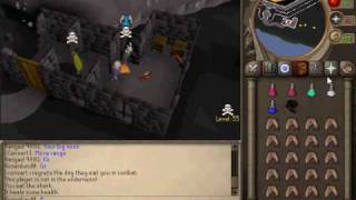 hackscape pking vid 2