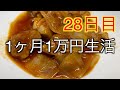 【1ヶ月1万円生活28日目】「とろとろ酢鶏」でなんとか乗り切ります