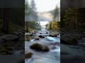 The Most Beautiful 12 Adagios for Relaxation #deepsleep#pianomusic#relaxingsounds #stressrelief