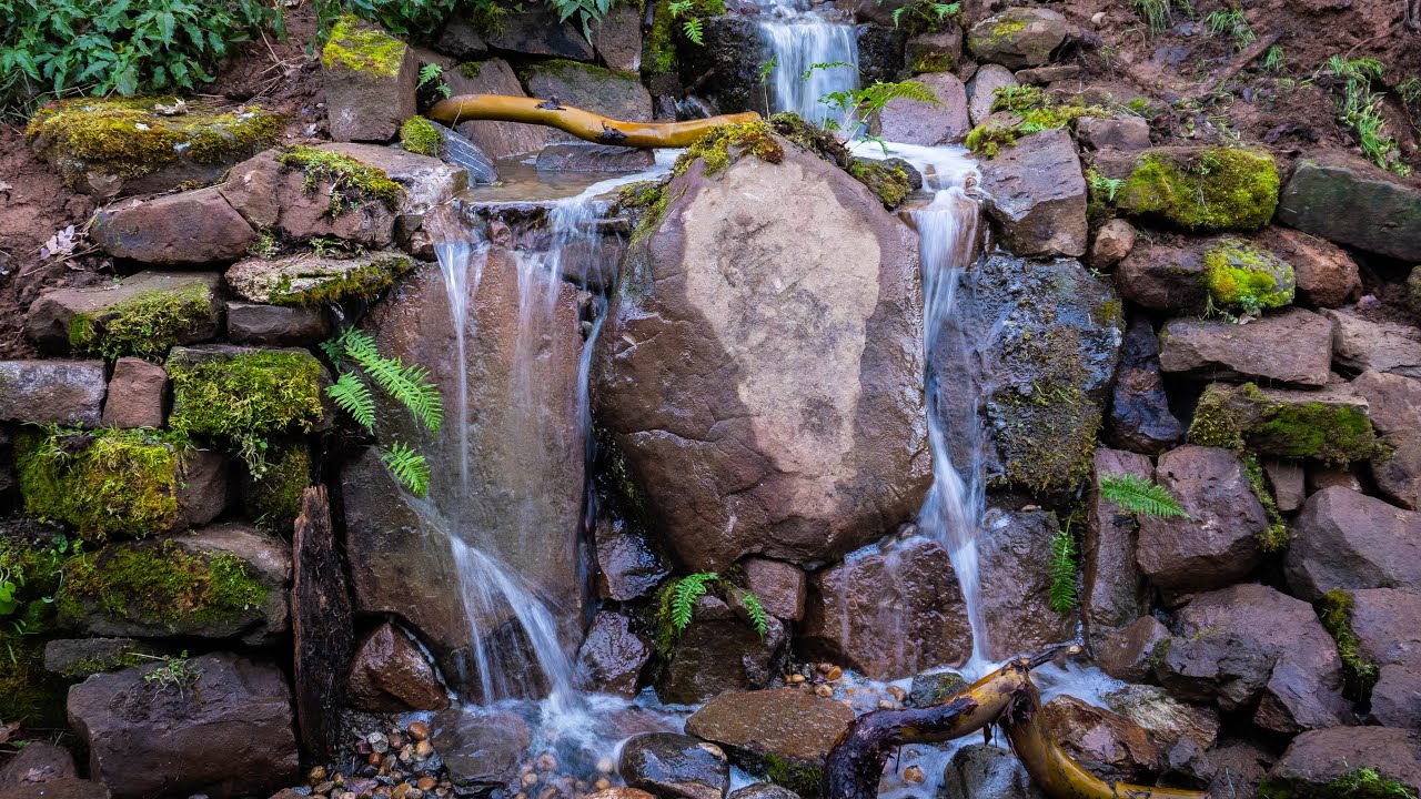 Natural Spring, or just another water feature?