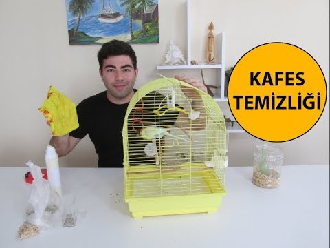 Kafes Temizliği Nasıl Yapılır