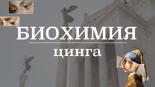 Цинга (скорбут, авитаминоз витамина С, симптомы) | Биохимия