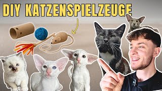 I make DIY cat toys and my cats FRESH!