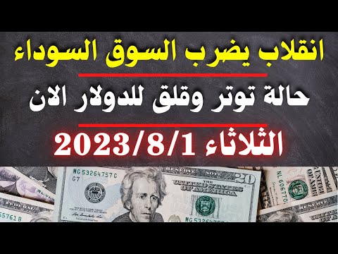 الدولار فى السوق السوداء | اسعار الدولار والعملات اليوم الثلاثاء 1-8-2023 في مصر