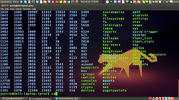 the proc directory in linux - "/proc/" - the linux file system